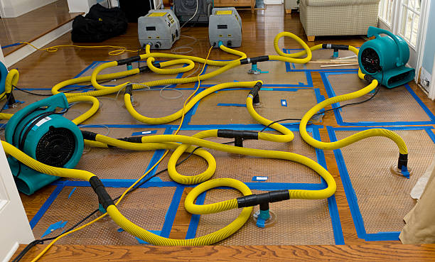 Professional Water Damage Restoration technician working in Etna, NH